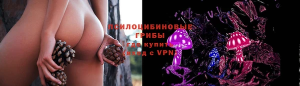 мет Арсеньев